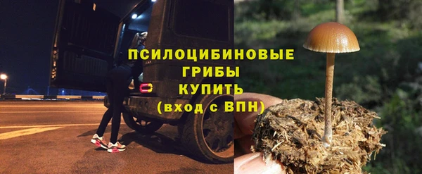 spice Алексин